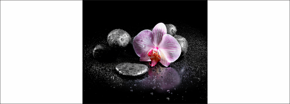 Déco Orchidée Rose Fond de Hotte